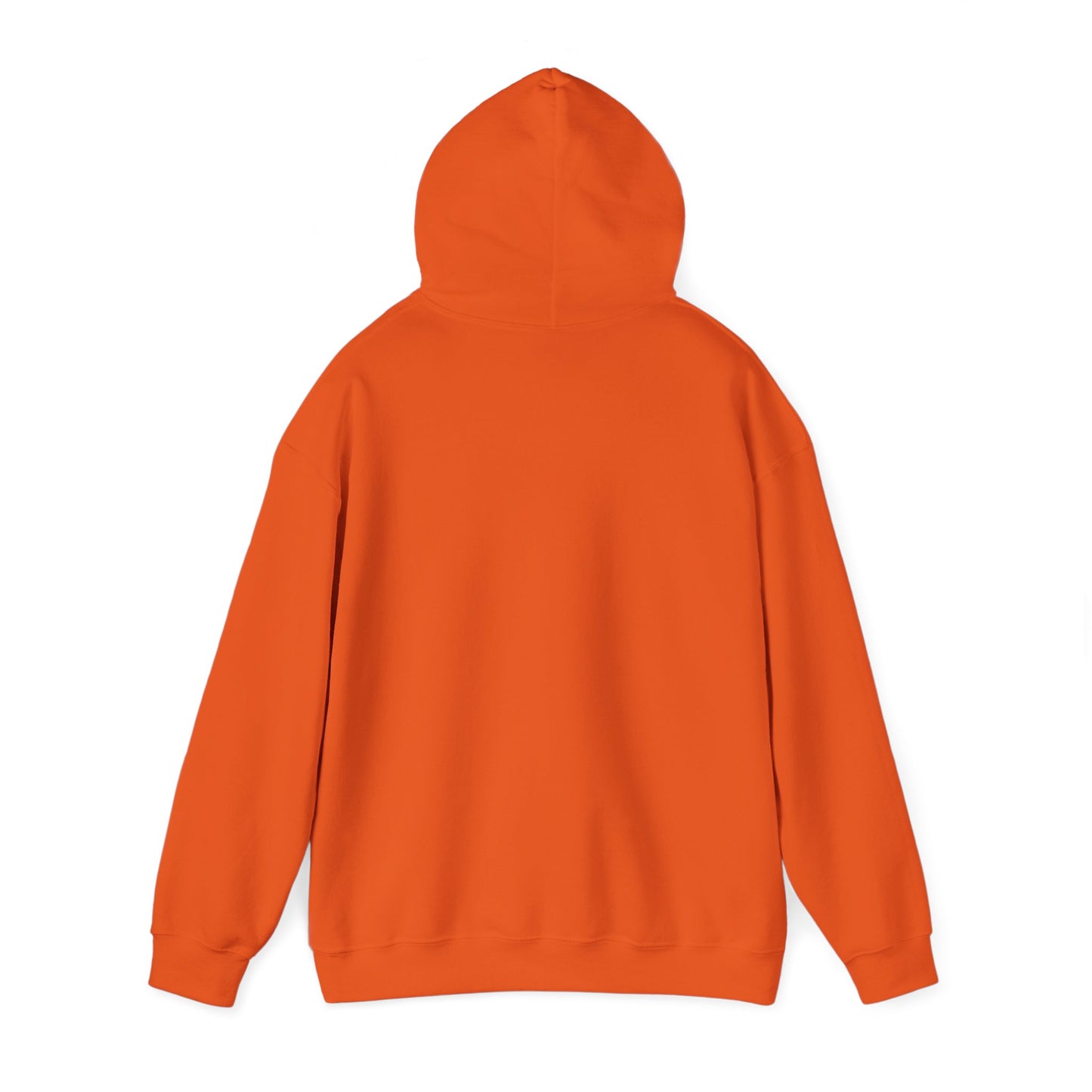 IgggNoRant  Hooded Sweatshirt